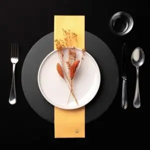 serviette Easy Bio